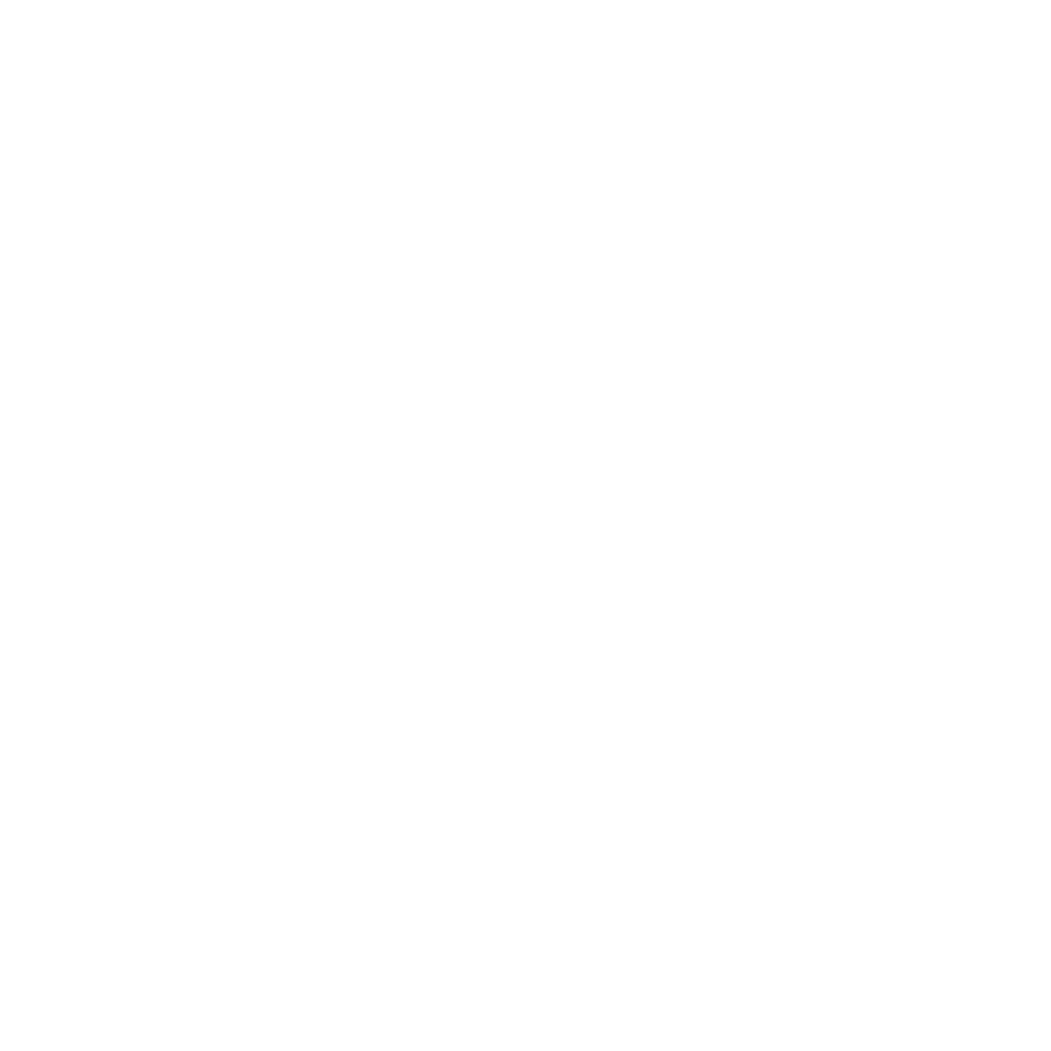 SDG 10